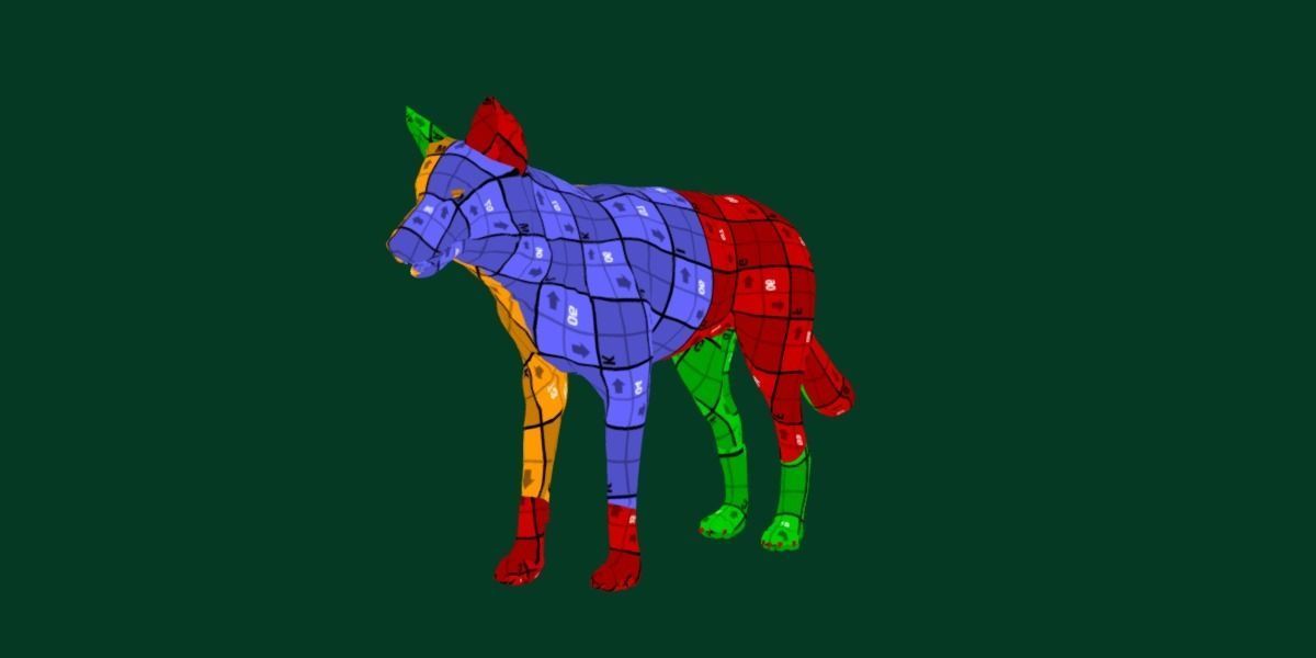 Indian Gray Wolf Low-poly 3D model_8