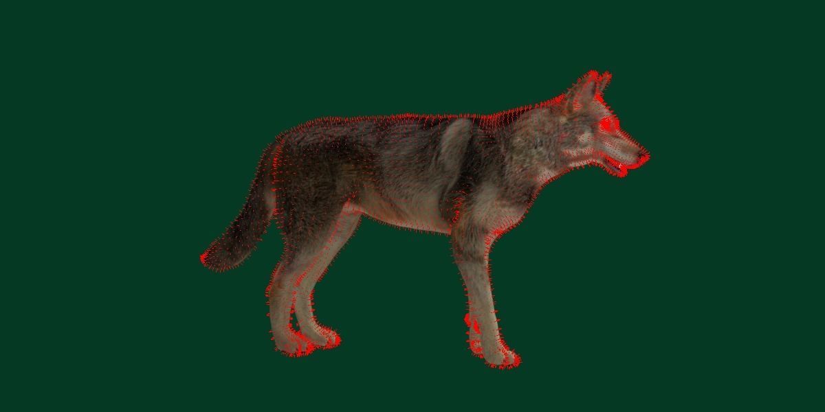 Indian Gray Wolf Low-poly 3D model_6
