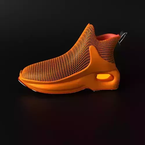Wireframe Shoe