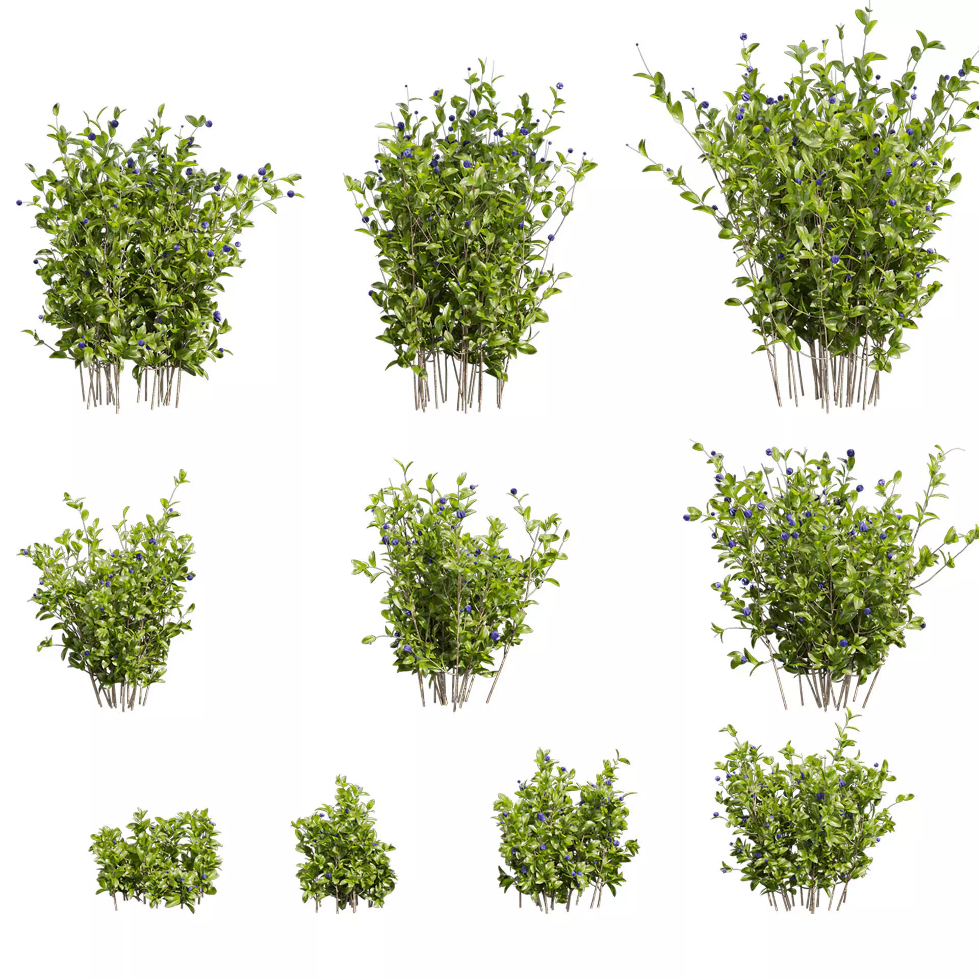 vap 553 Ressort lanceur tronçonneuse VAP main image 1