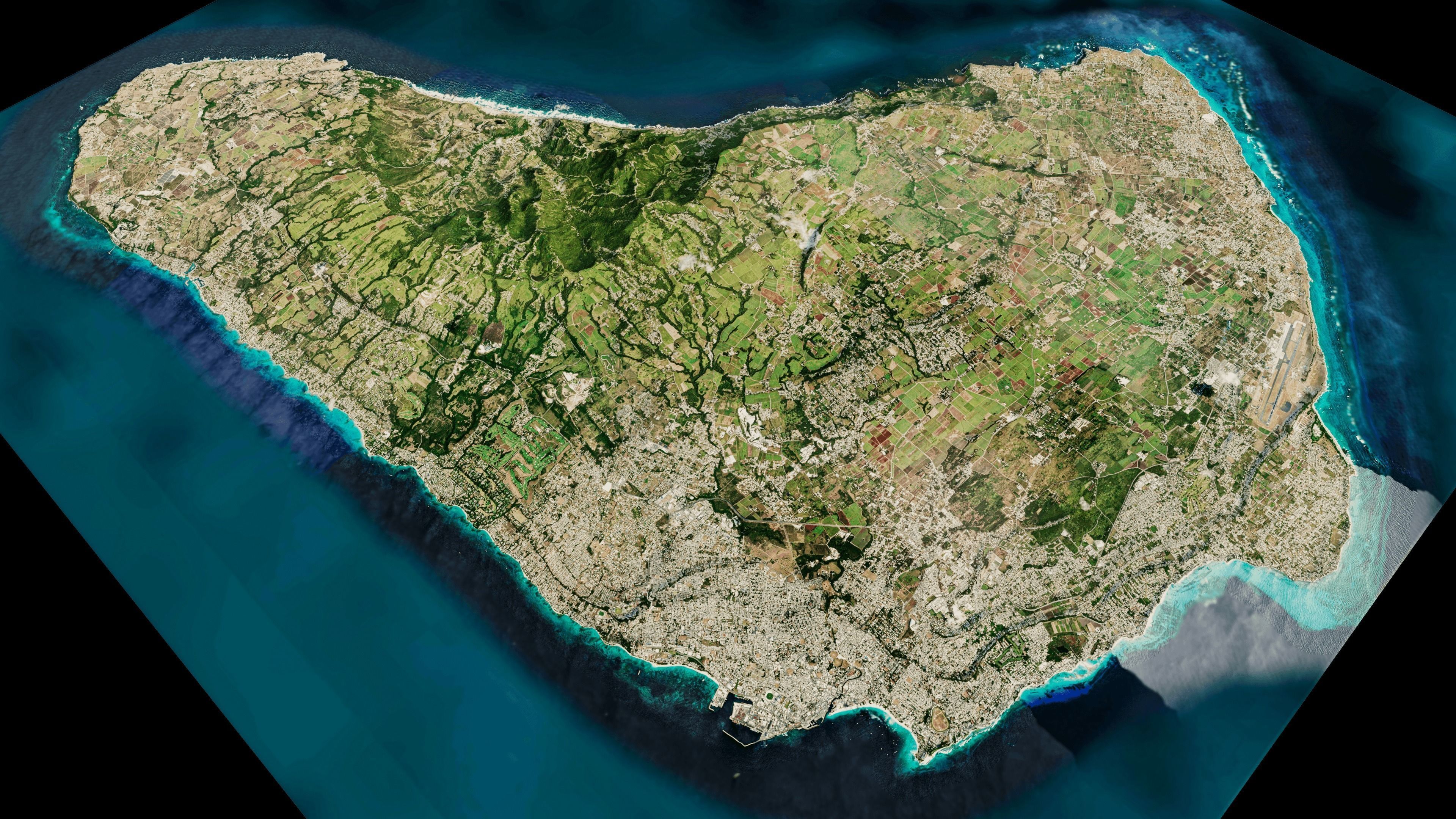 barbados full Island 3d model terrain Low-poly 3D model_10