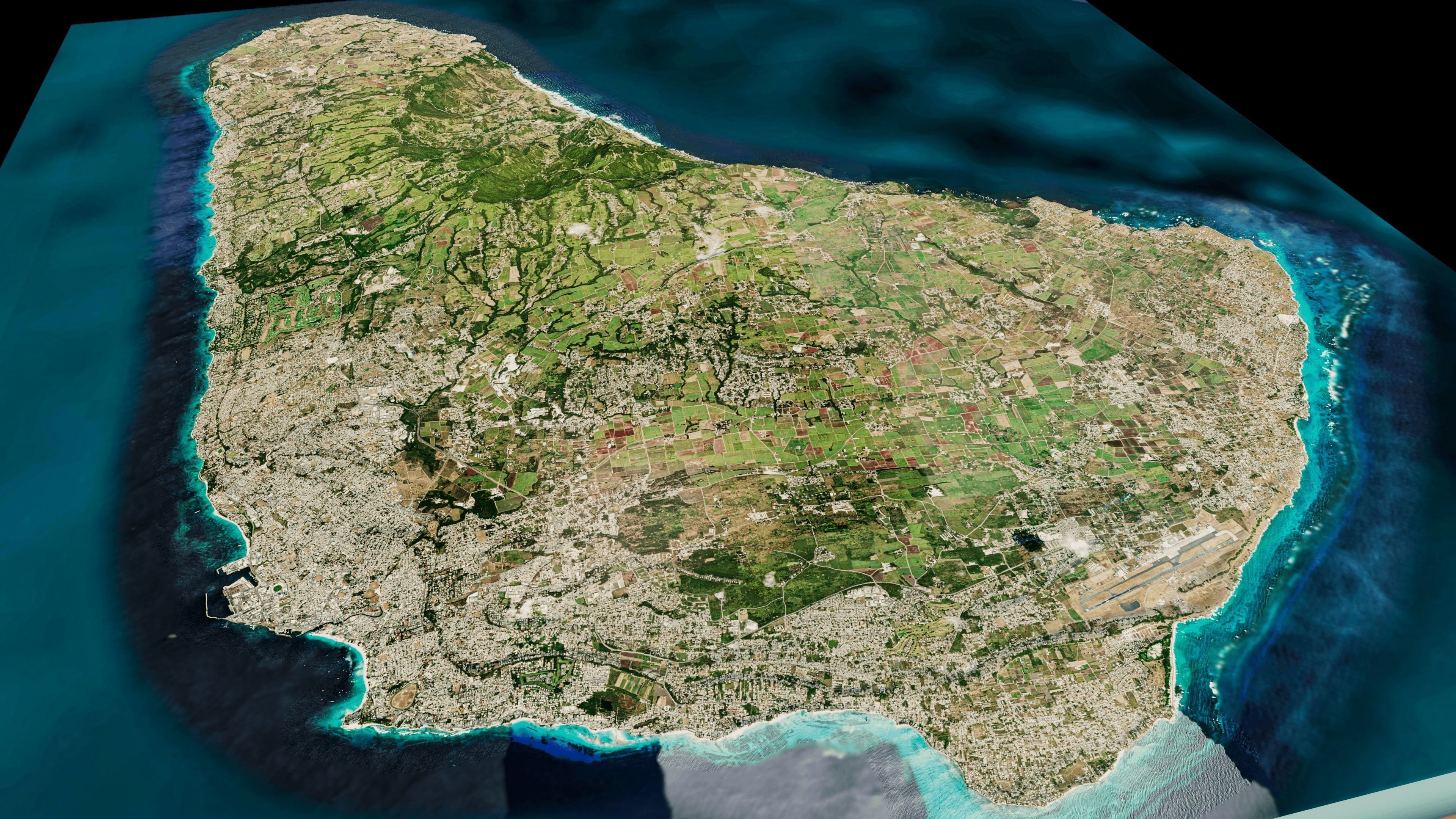 barbados full Island 3d model terrain Low-poly 3D model_9