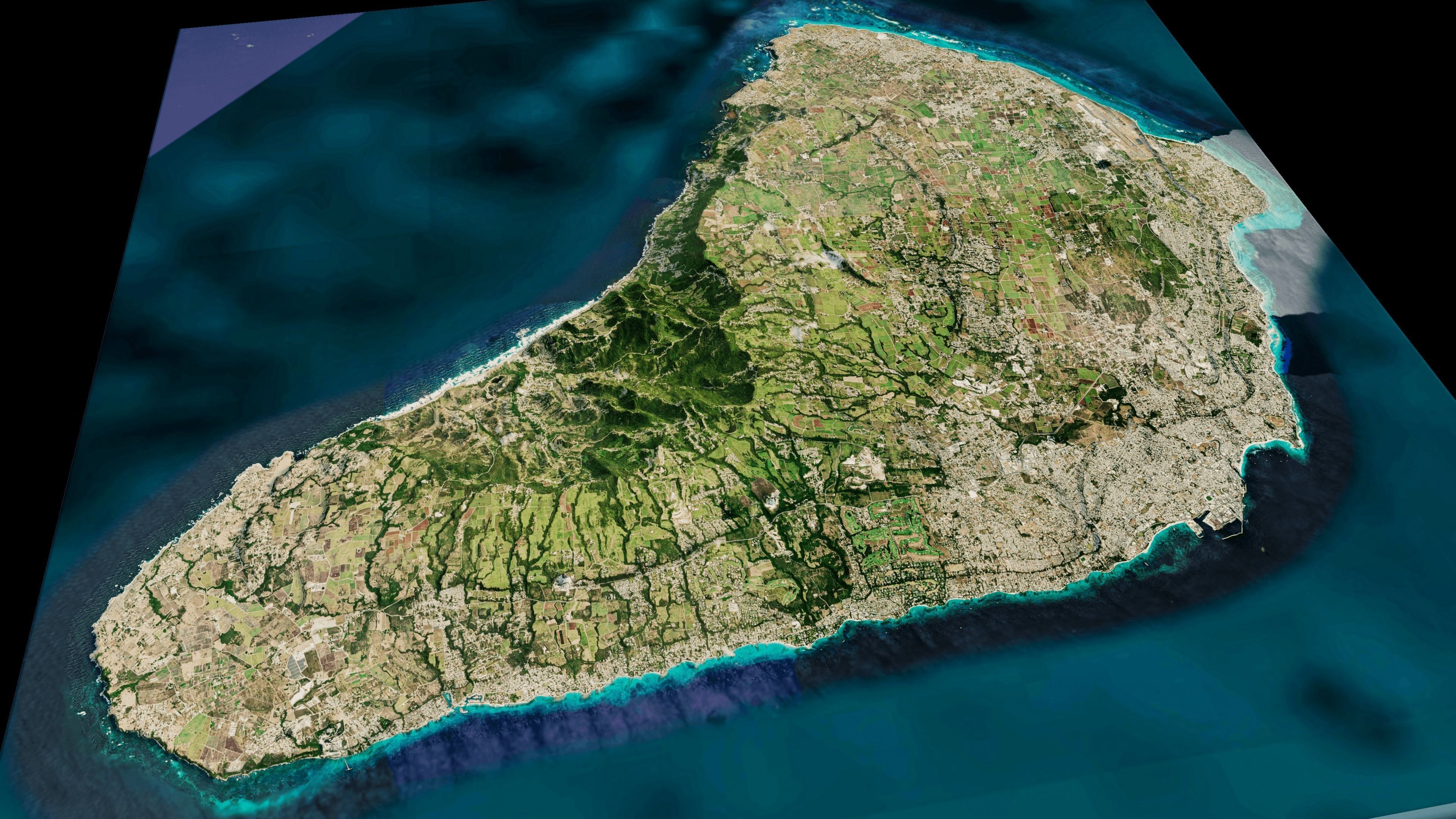 barbados full Island 3d model terrain Low-poly 3D model_5