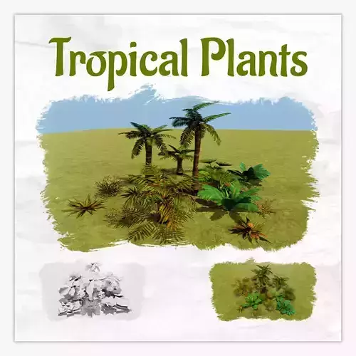 Tropical plants