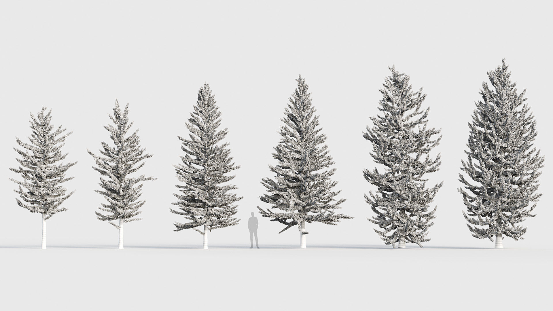 Package 03 Conifer Collection 3D model_55