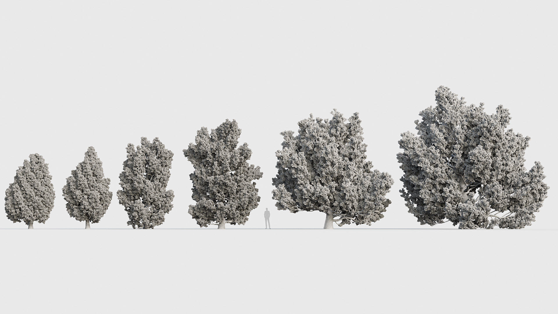 Package 03 Conifer Collection 3D model_43