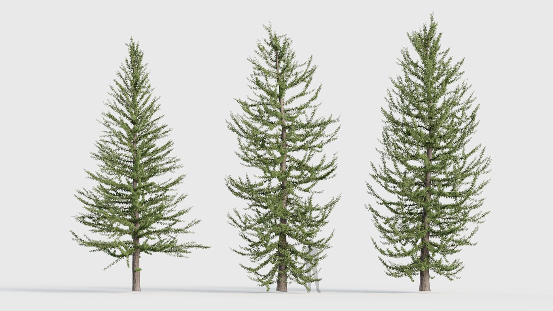 Package 03 Conifer Collection 3D model_52