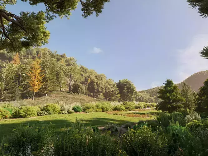 Package 03  Conifer Collection