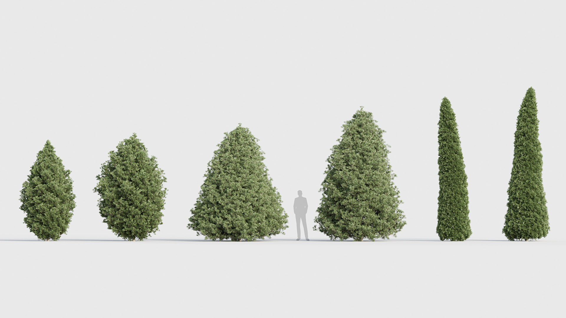Package 03 Conifer Collection 3D model_44