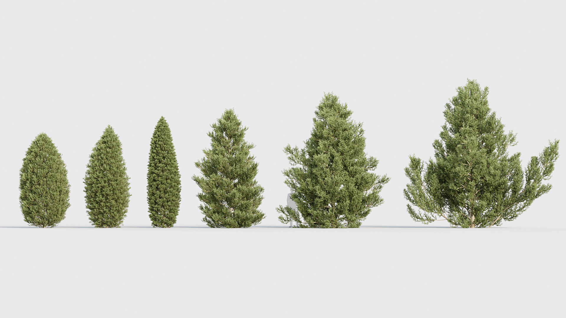 Package 03 Conifer Collection 3D model_20