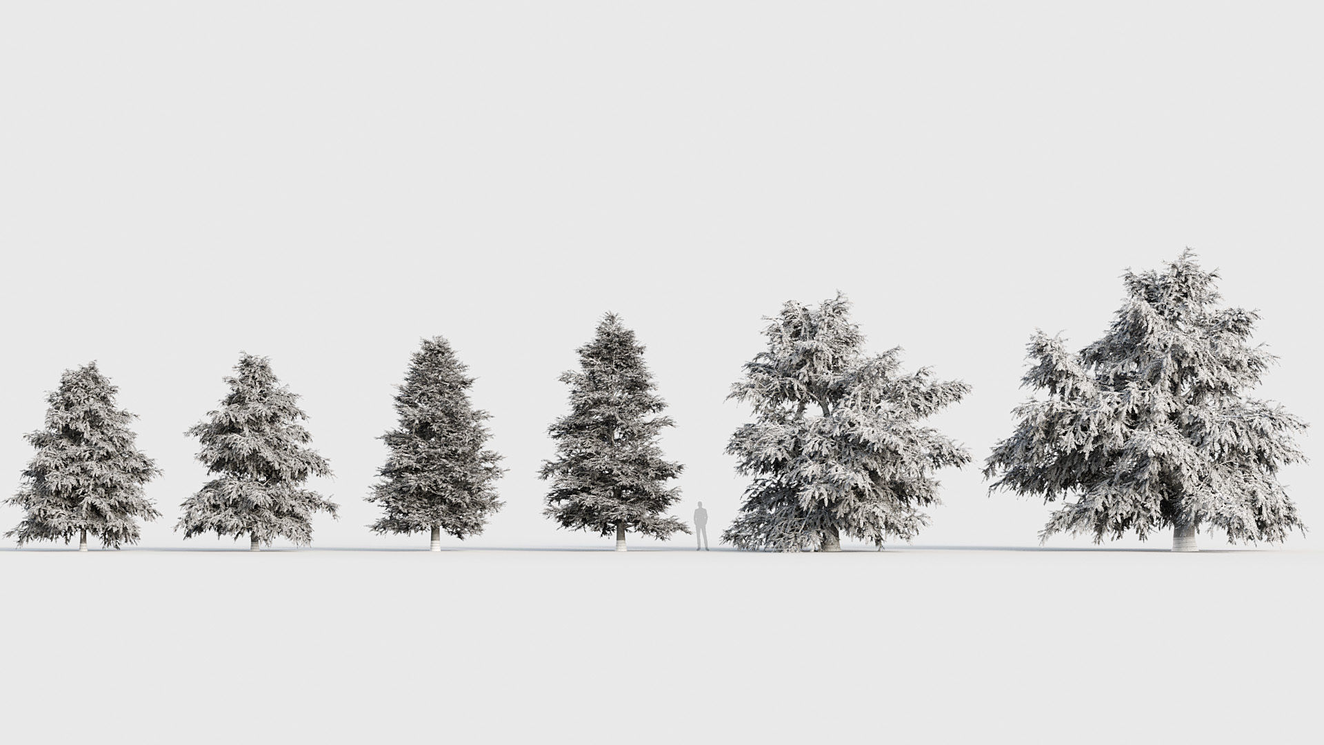 Package 03 Conifer Collection 3D model_73