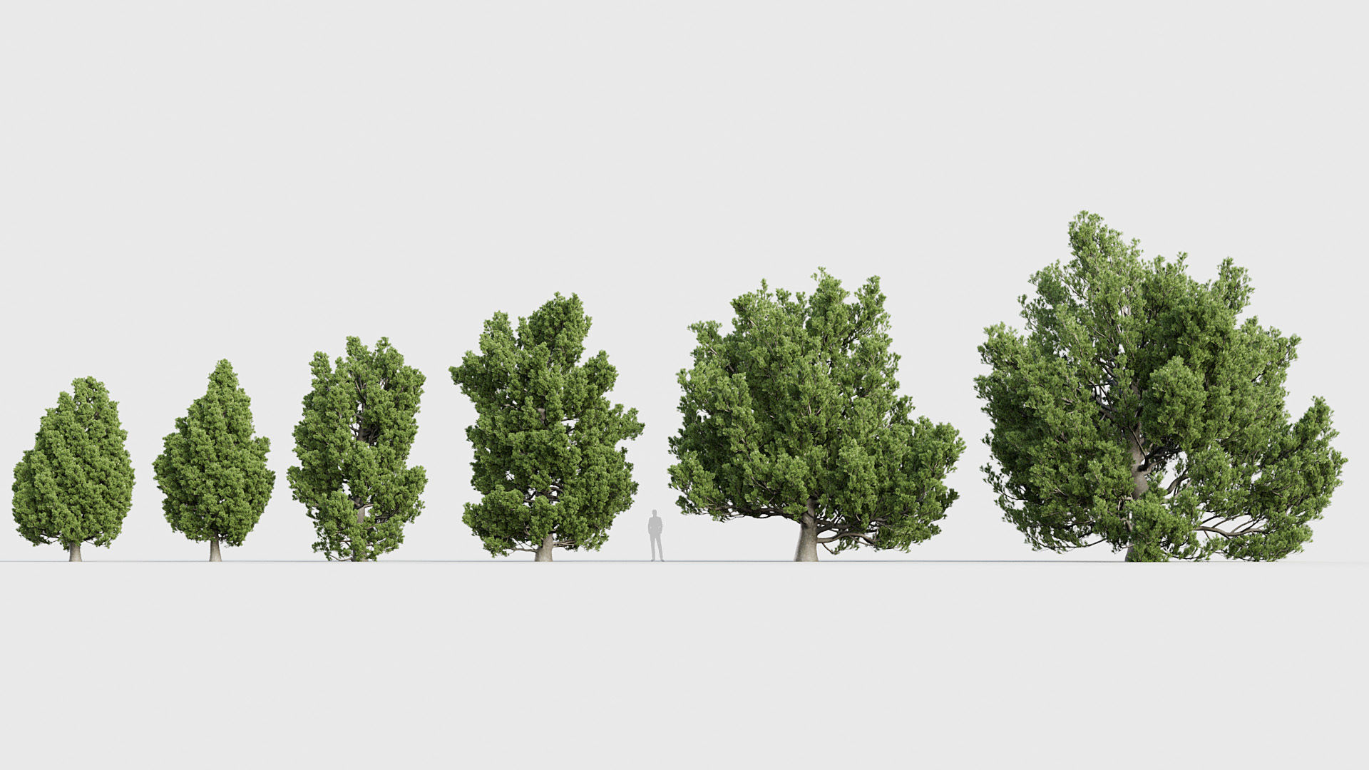 Package 03 Conifer Collection 3D model_38
