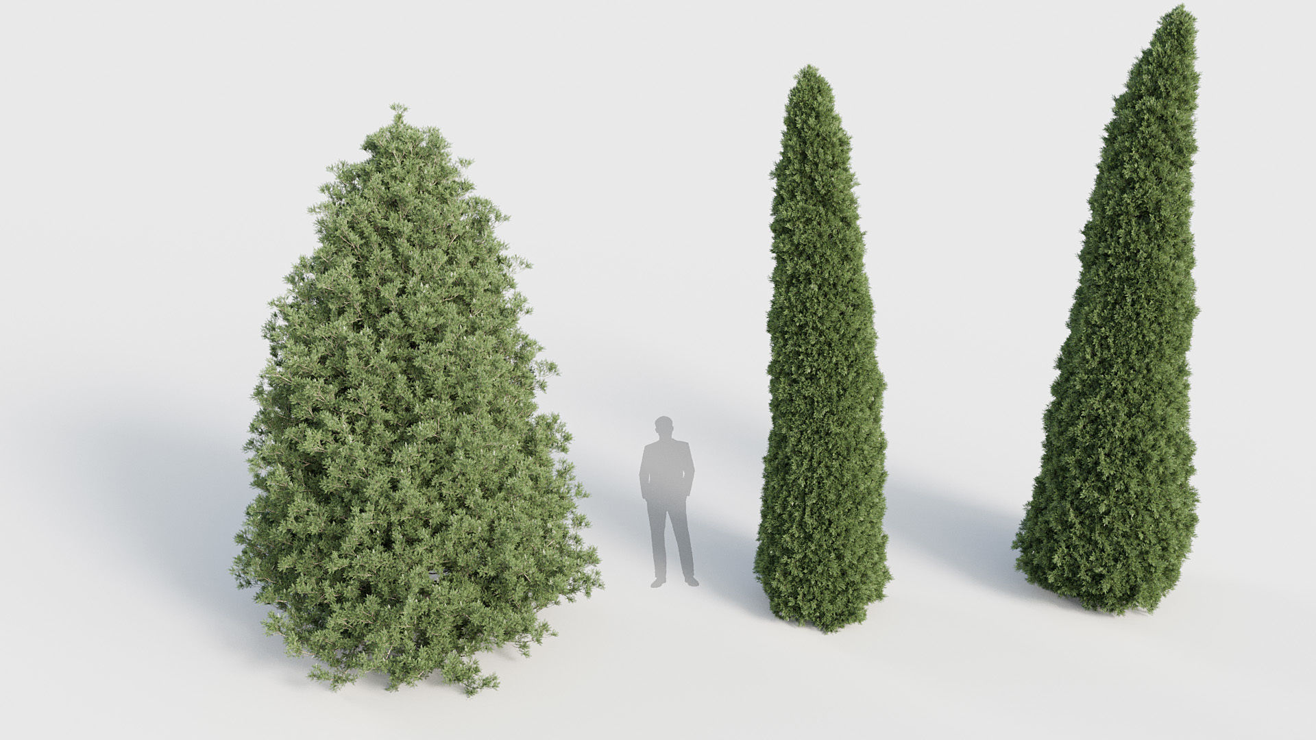Package 03 Conifer Collection 3D model_47