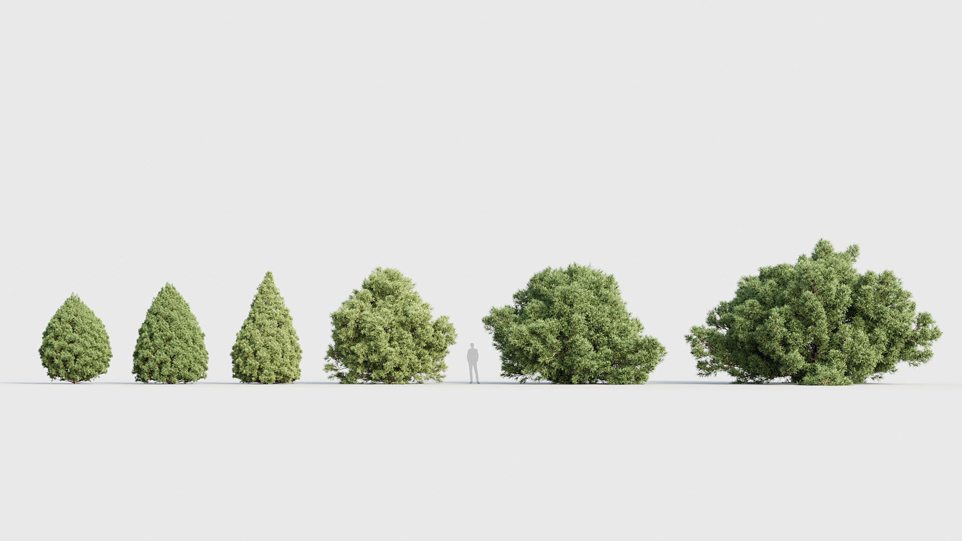 Package 03 Conifer Collection 3D model_32