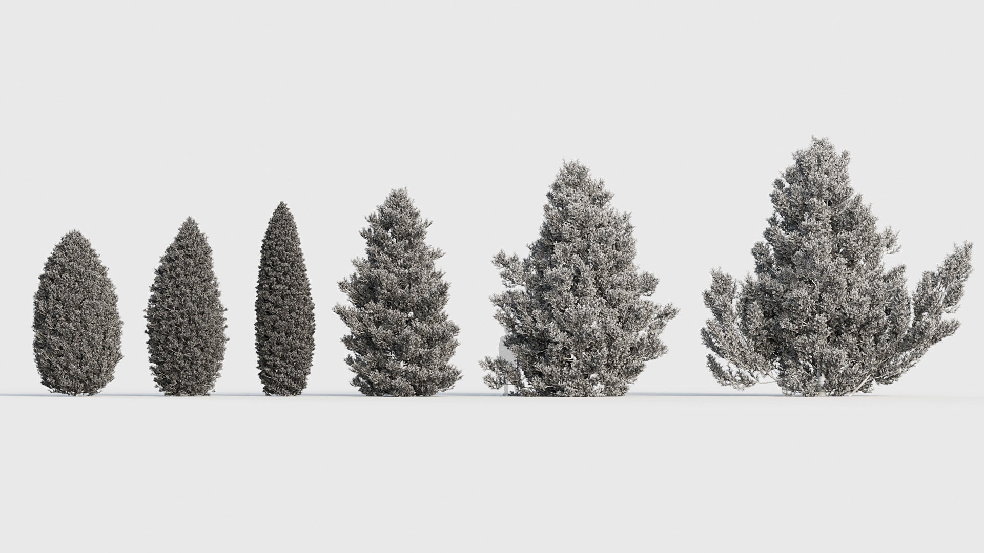 Package 03 Conifer Collection 3D model_25