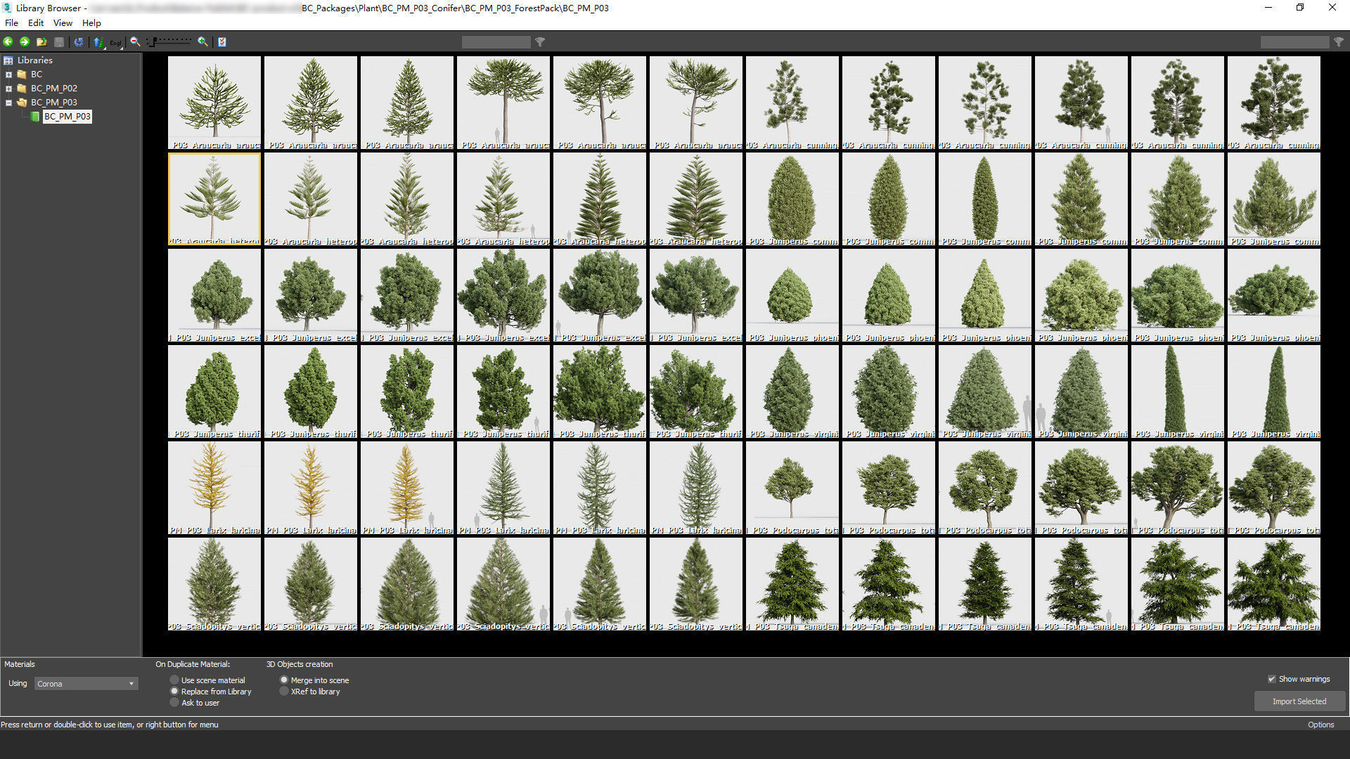 Package 03 Conifer Collection 3D model_1