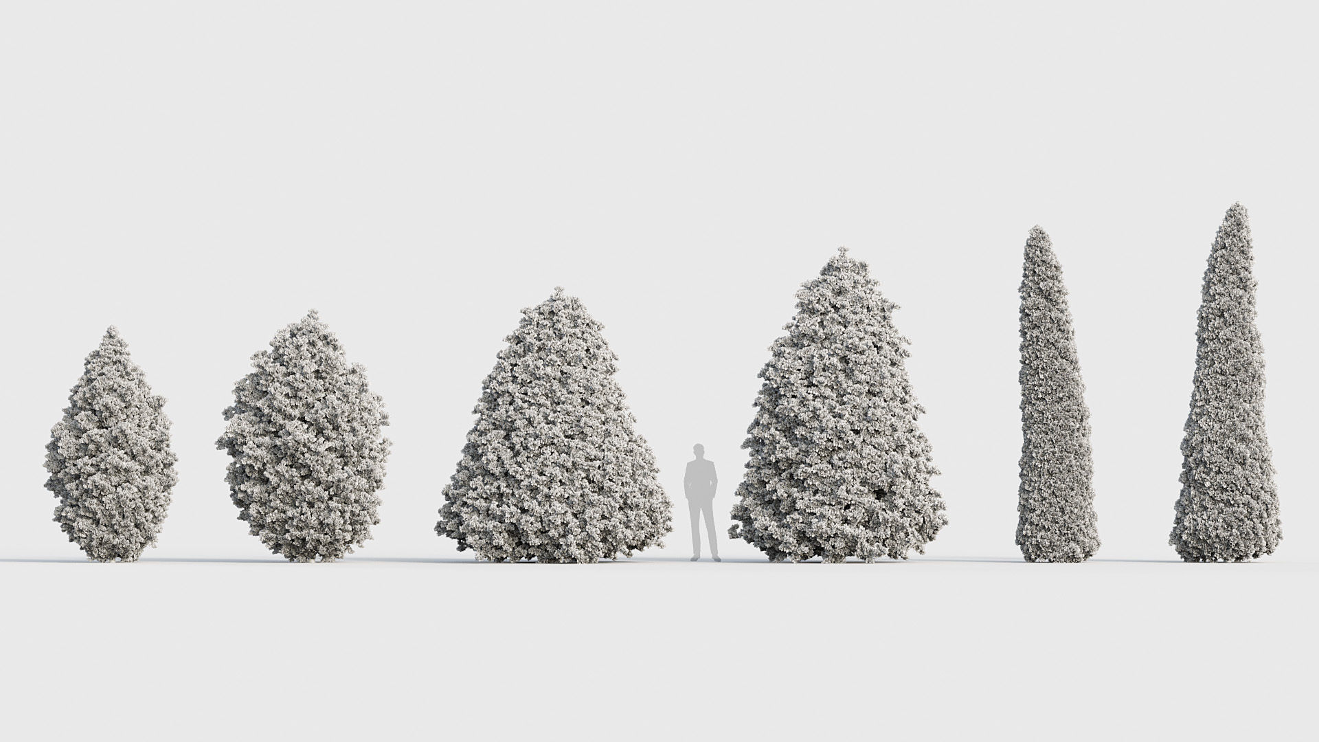 Package 03 Conifer Collection 3D model_49