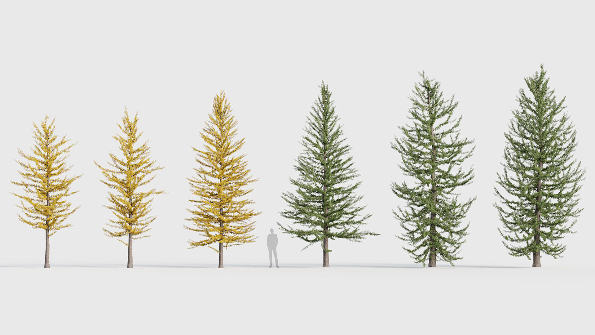 Package 03 Conifer Collection 3D model_50