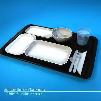 Tray food