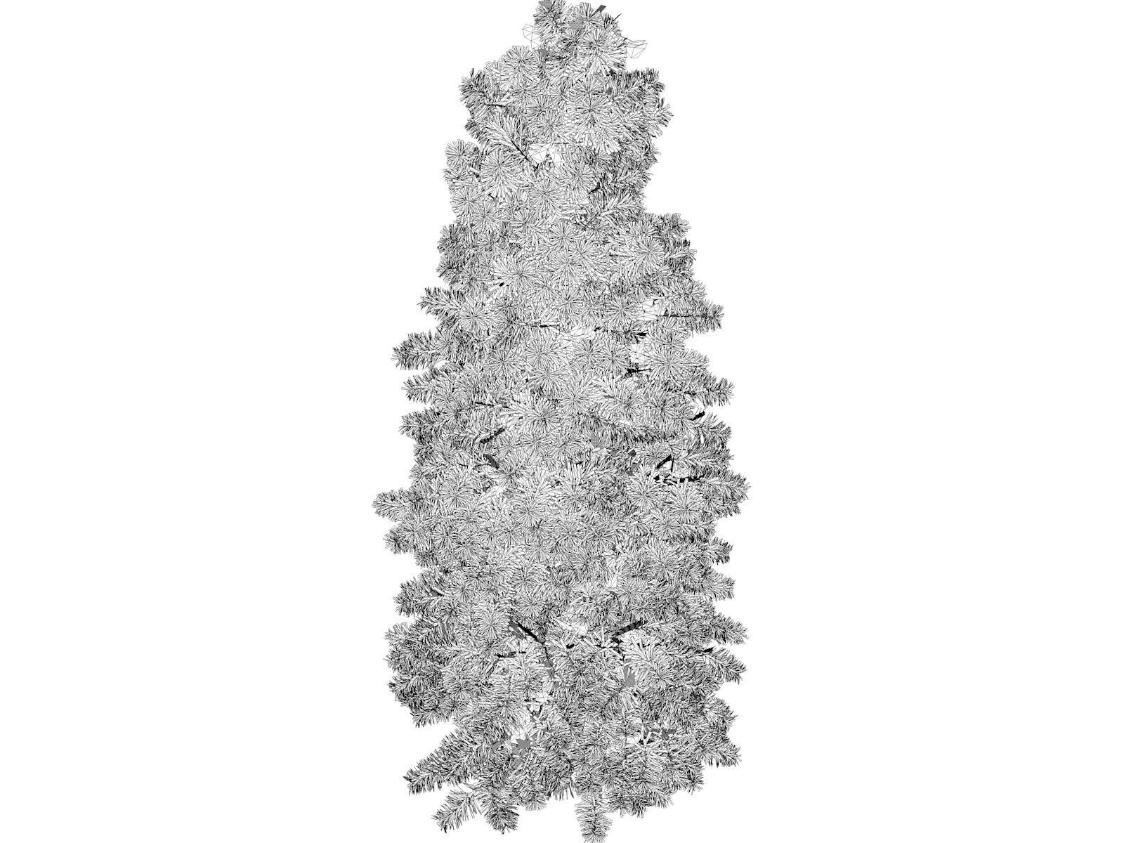 Colorado Blue Spruce Tree - 05 - 3D model_1