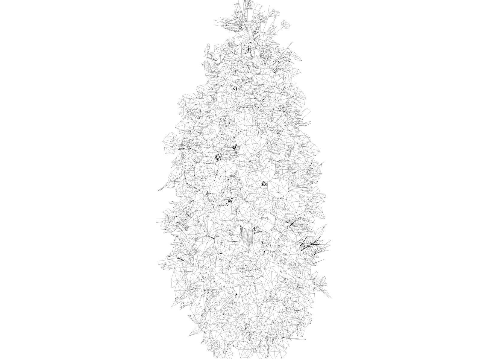 Eastern Red Cedar Tree - 06 - 3D model_1