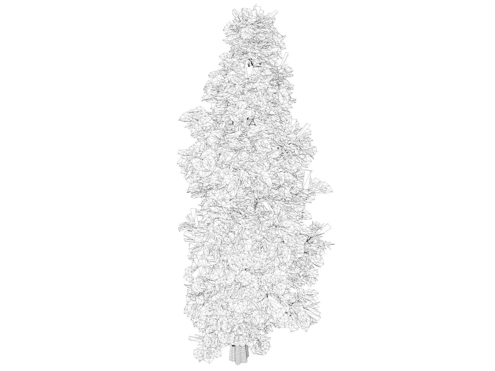 Eastern Red Cedar Tree - 09 - 3D model_1