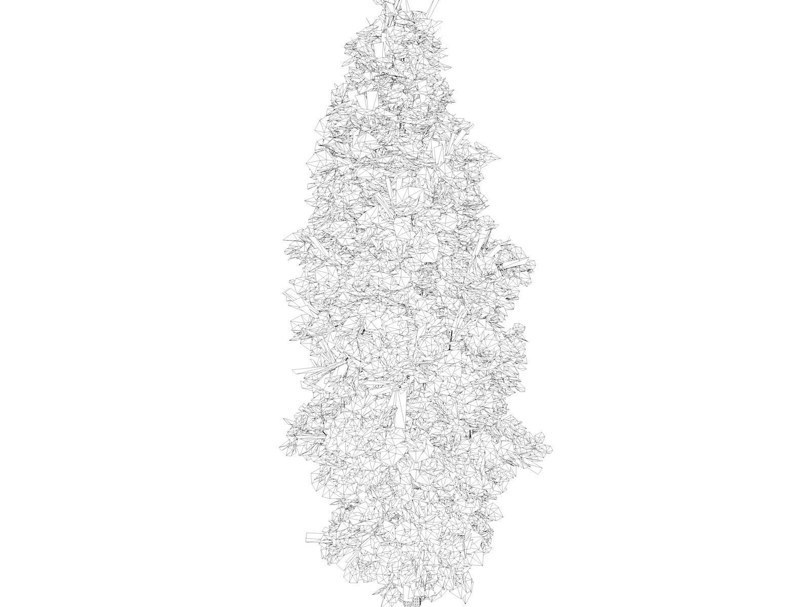 Eastern Red Cedar Tree - 10 - 3D model_1