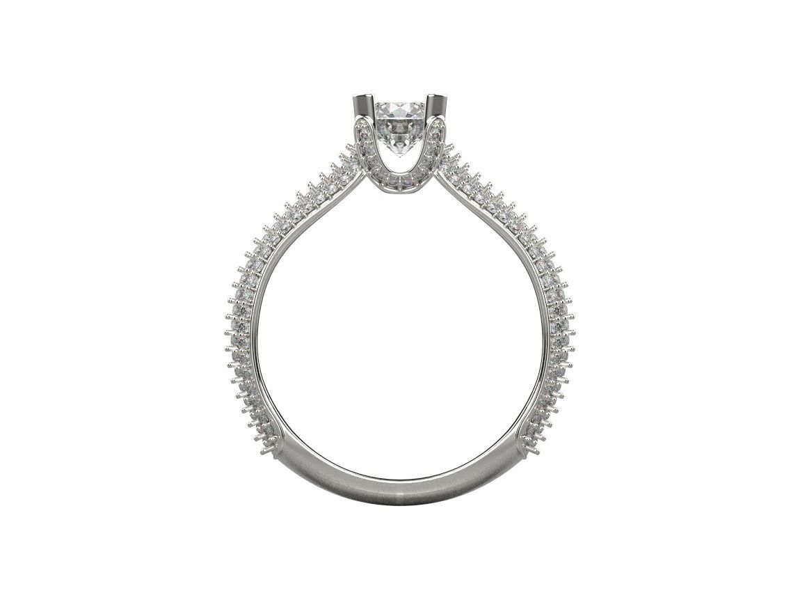 ring code 226 3D print model_9