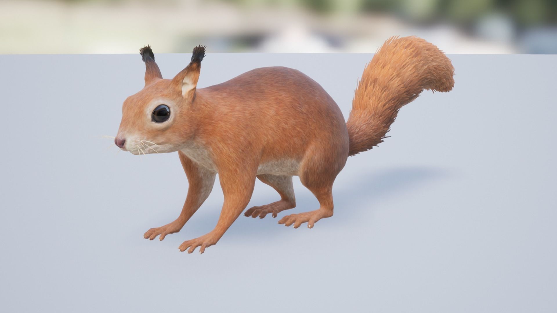 Pack of small animals Low-poly 3D model_42