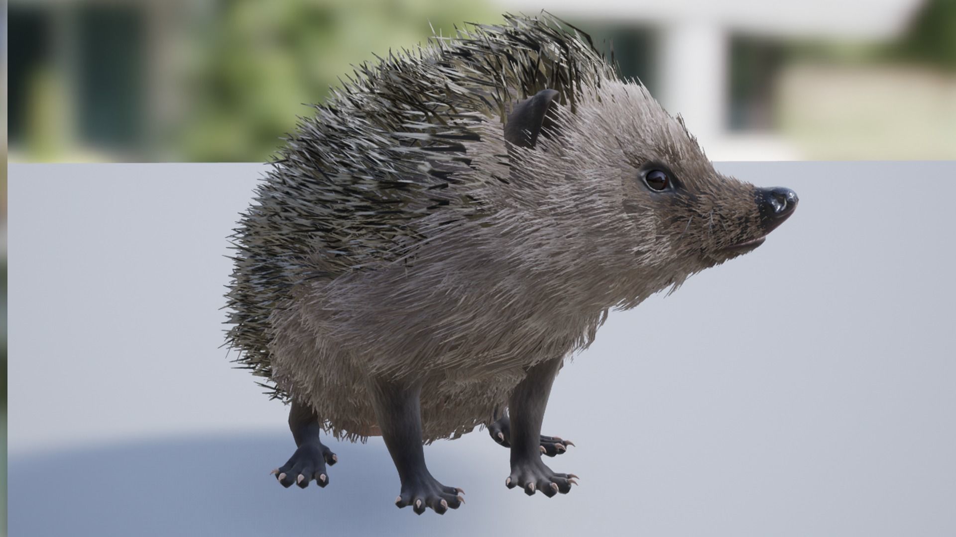 Pack of small animals Low-poly 3D model_16