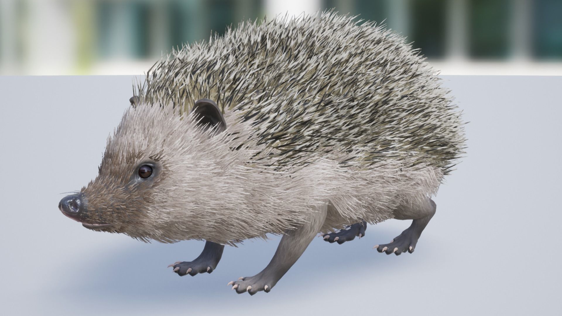 Pack of small animals Low-poly 3D model_15