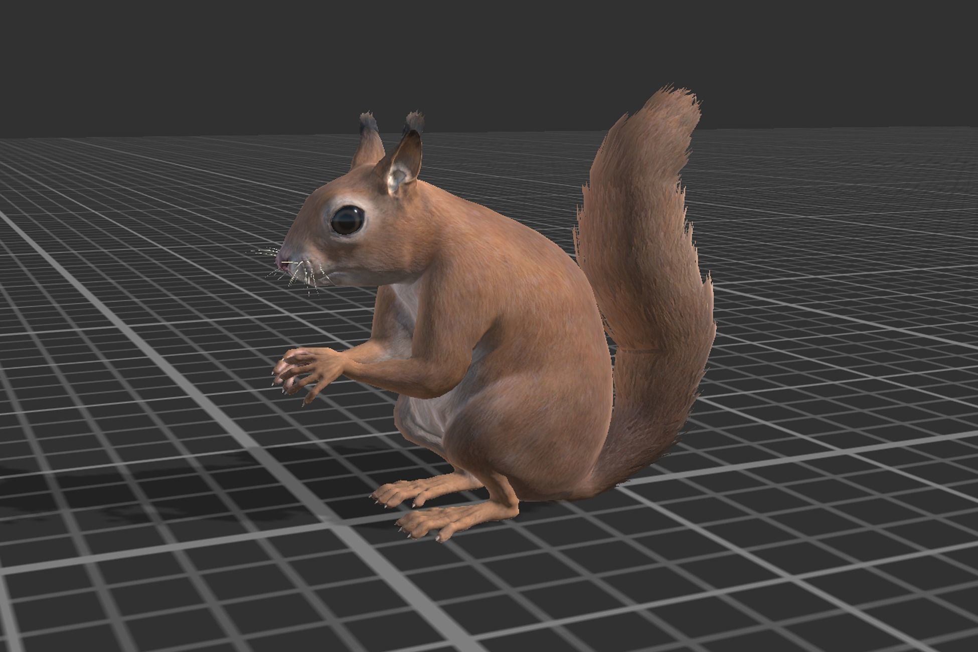 Pack of small animals Low-poly 3D model_40