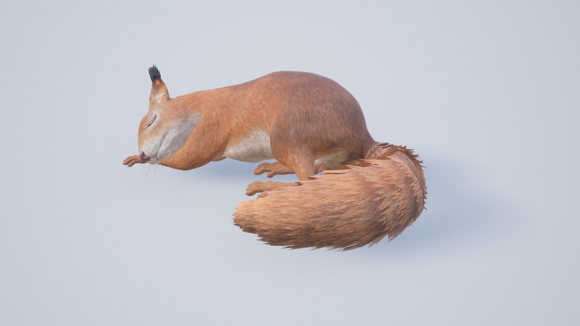 Pack of small animals Low-poly 3D model_41