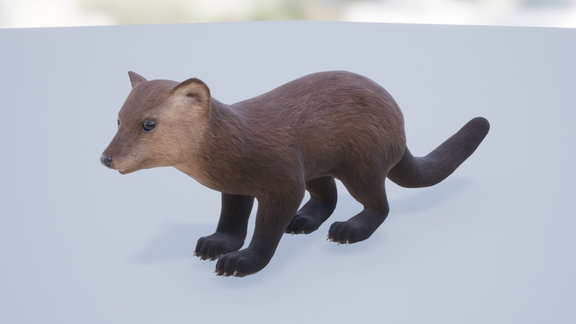 Pack of small animals Low-poly 3D model_19