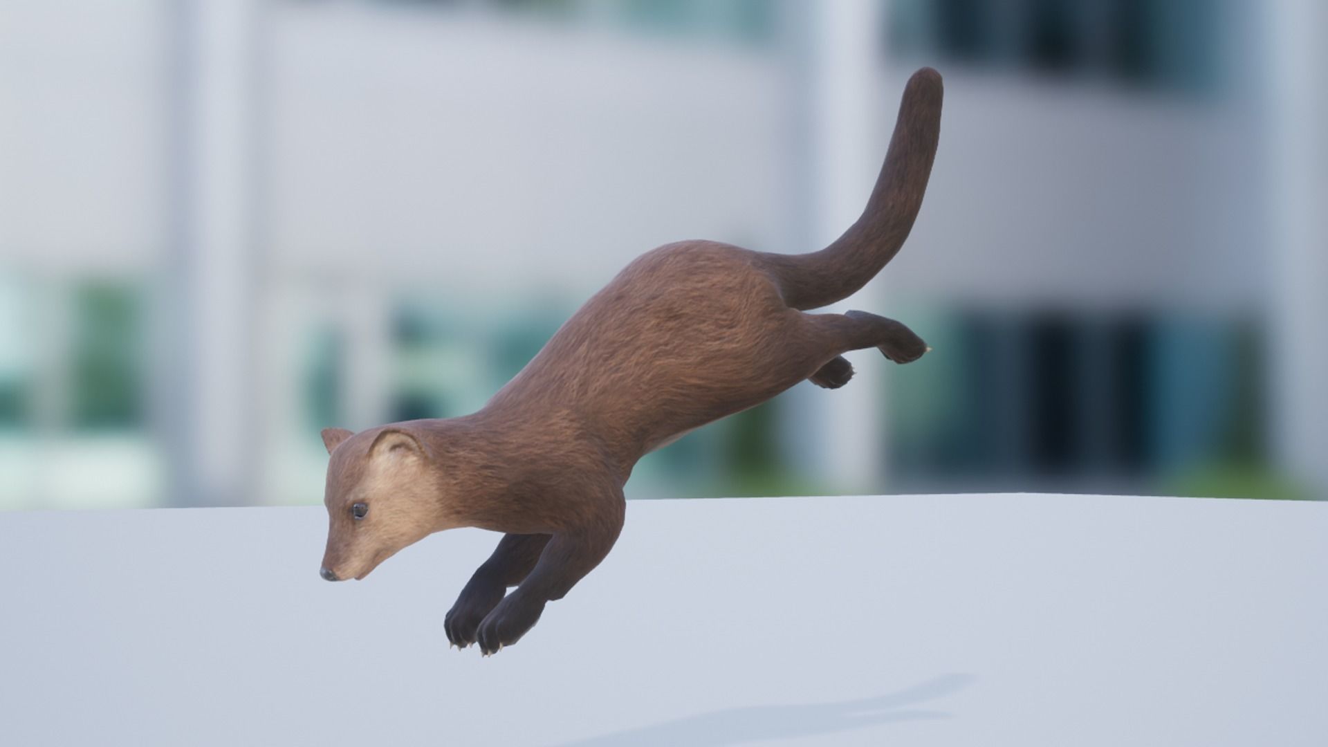 Pack of small animals Low-poly 3D model_20