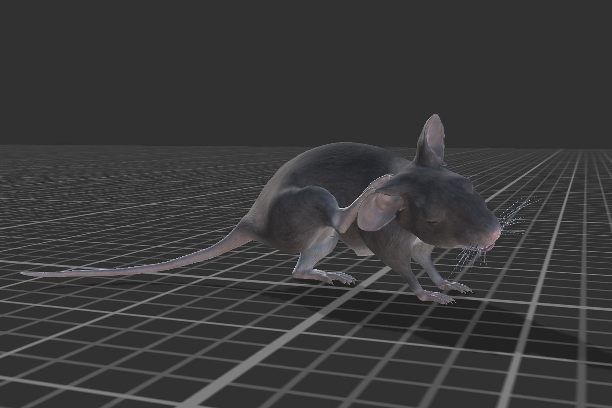 Pack of small animals Low-poly 3D model_21