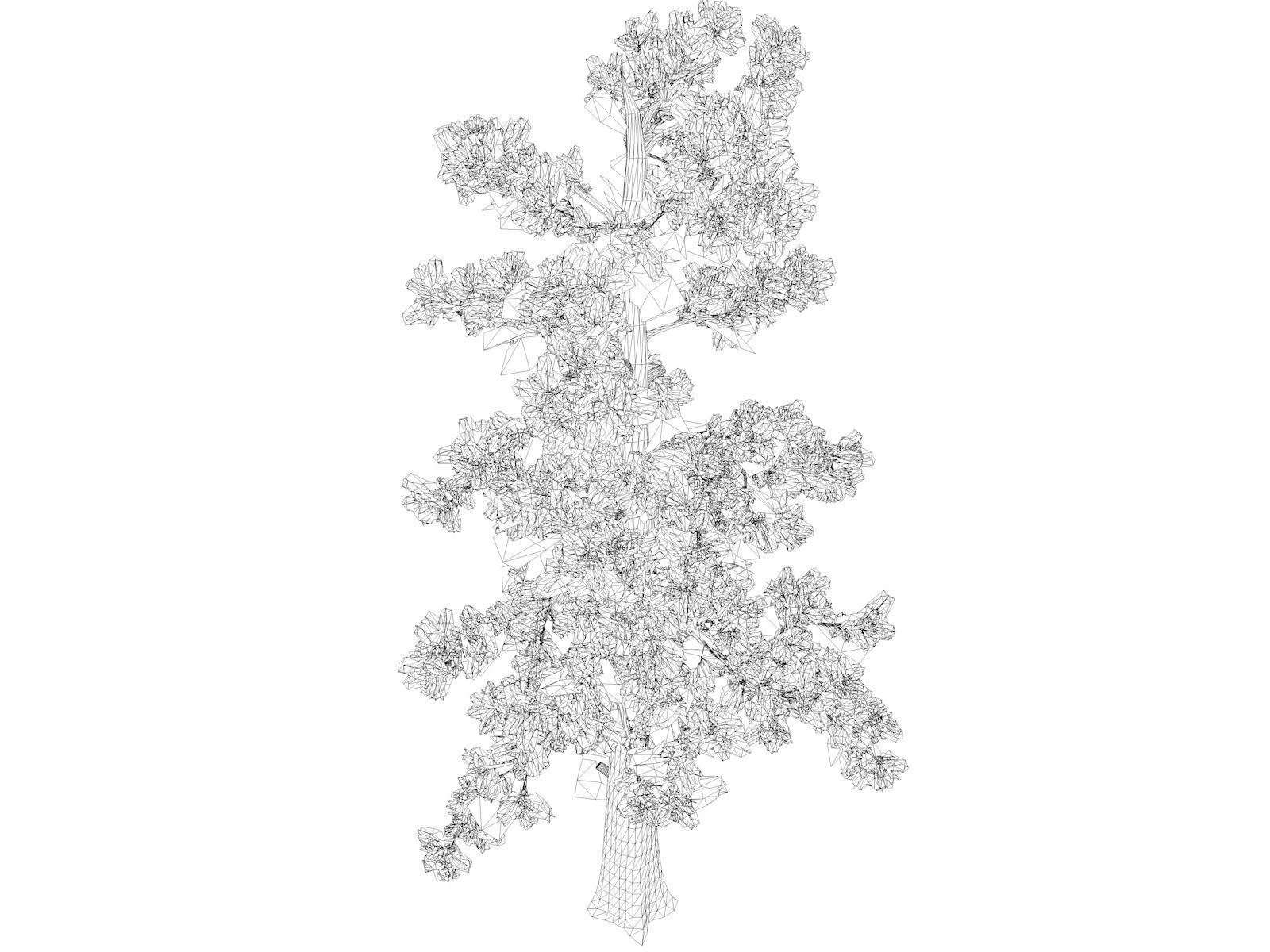 Eastern White Pine Tree - 08 - 3D model_1