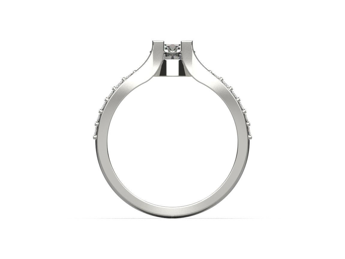 ring code 204 3D print model_9