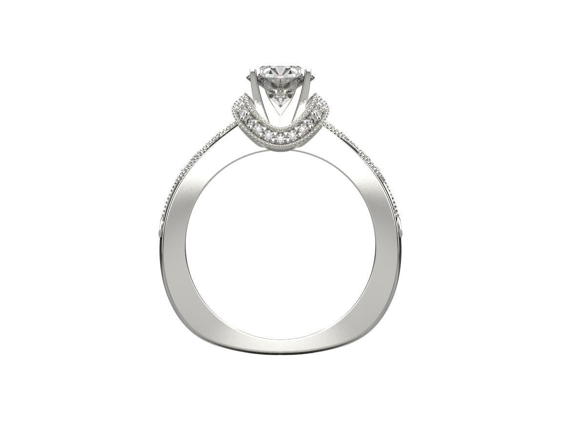 ring code 176 3D print model_9