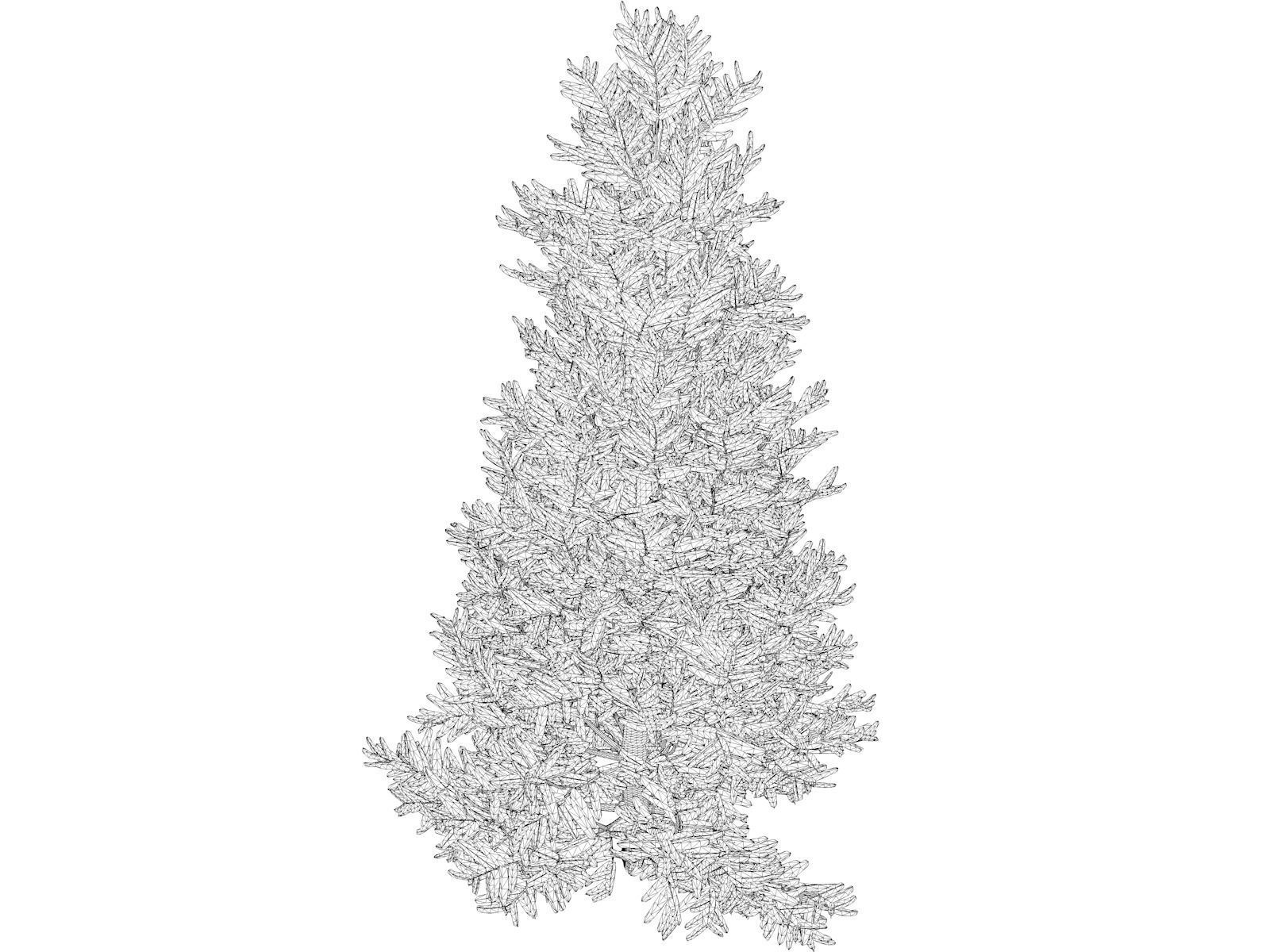 Fraser Fir Tree - 02 - 3D model_1