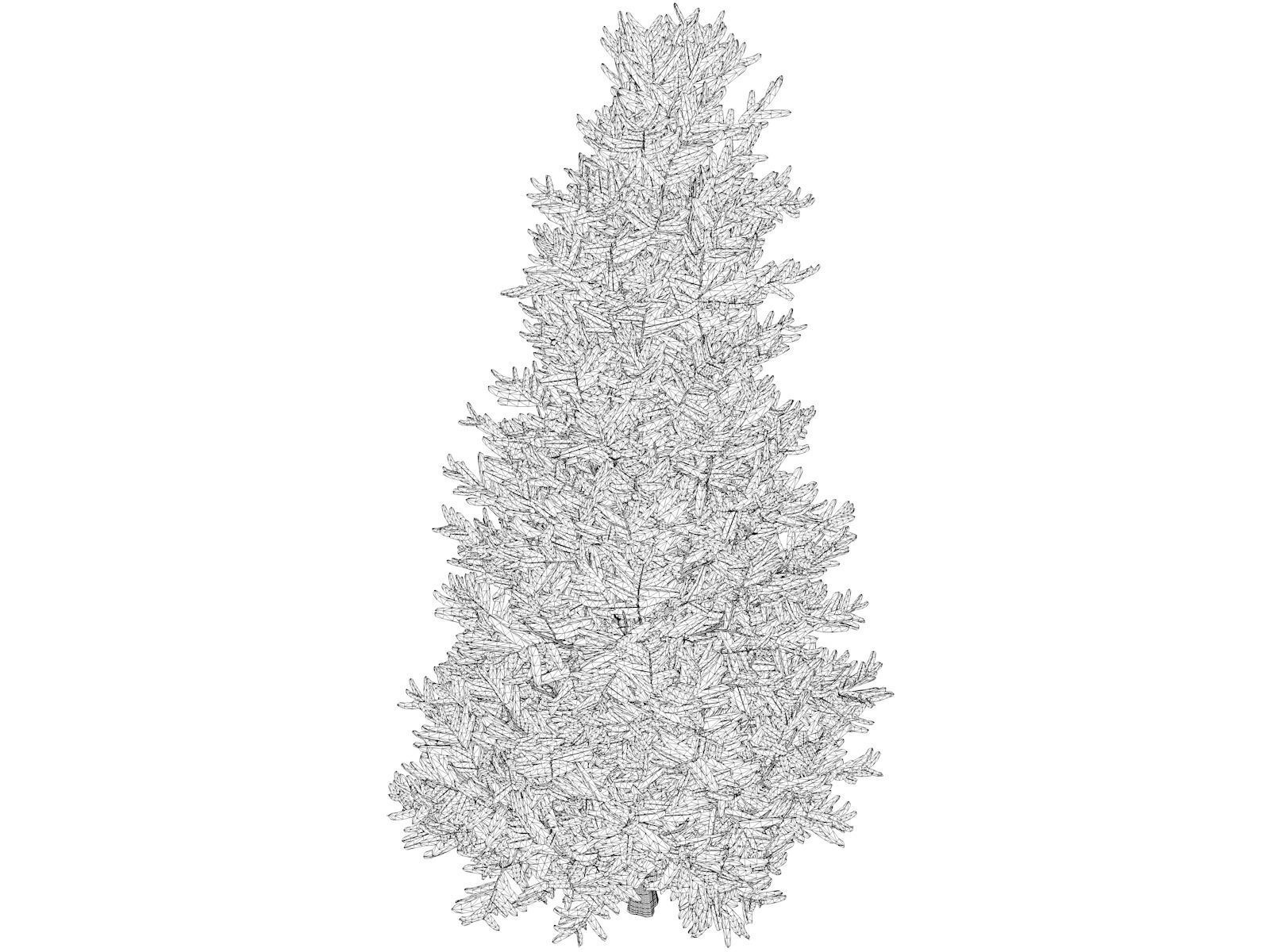 Fraser Fir Tree - 05 - 3D model_1
