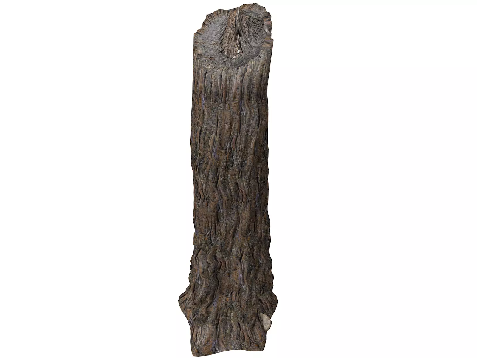 Giant Redwood - Sequoia - Tree Stump - 02 - 3D model_0
