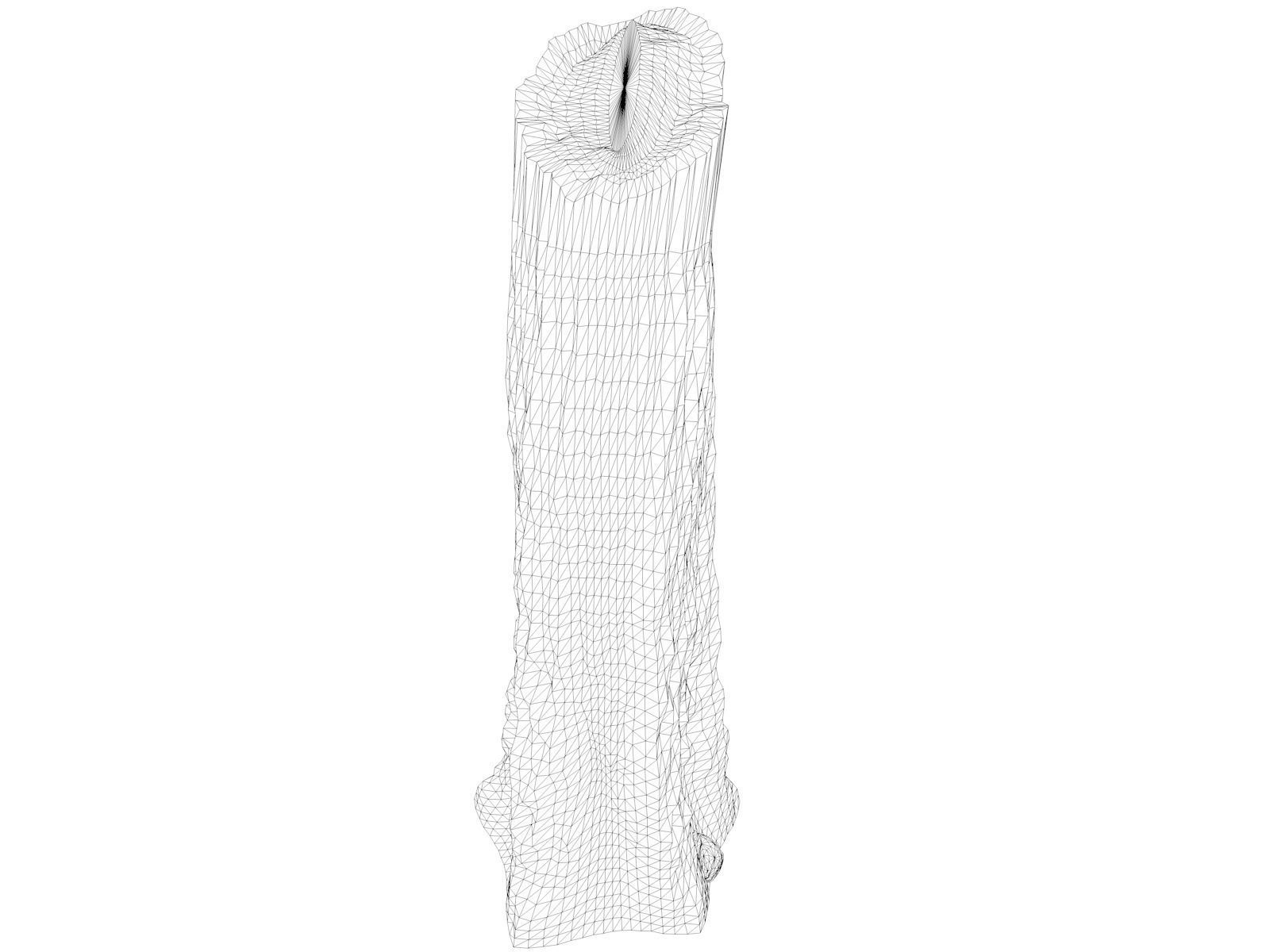 Giant Redwood - Sequoia - Tree Stump - 02 - 3D model_1