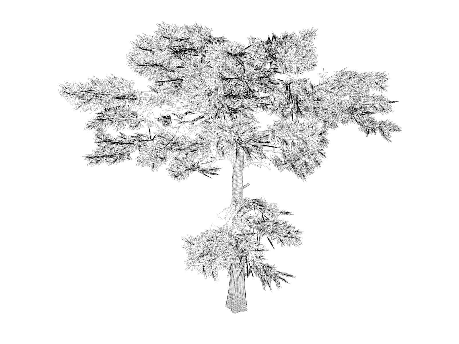 Huangshan Pine Tree - 05 - 3D model_1