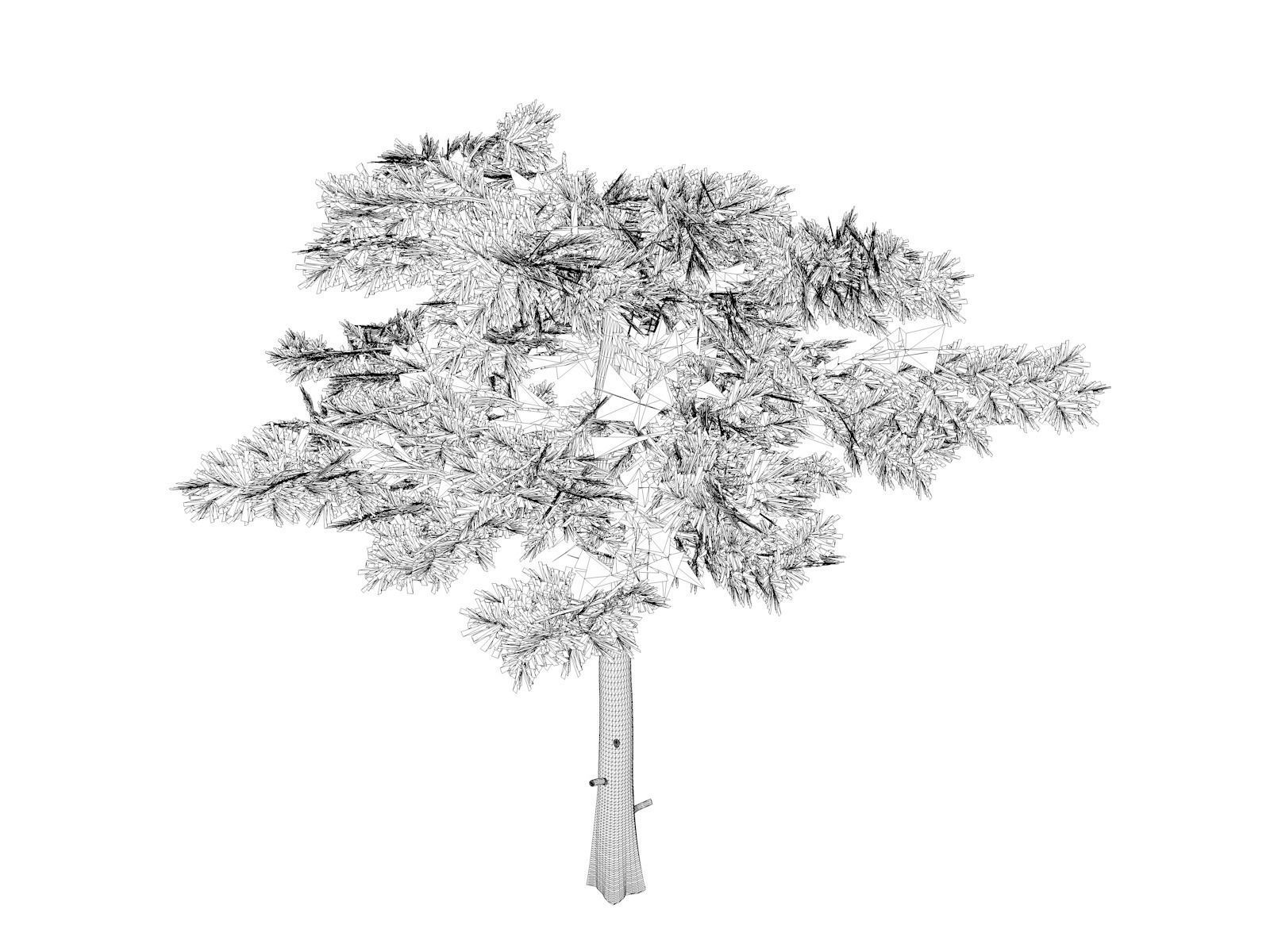 Huangshan Pine Tree - 07 - 3D model_1