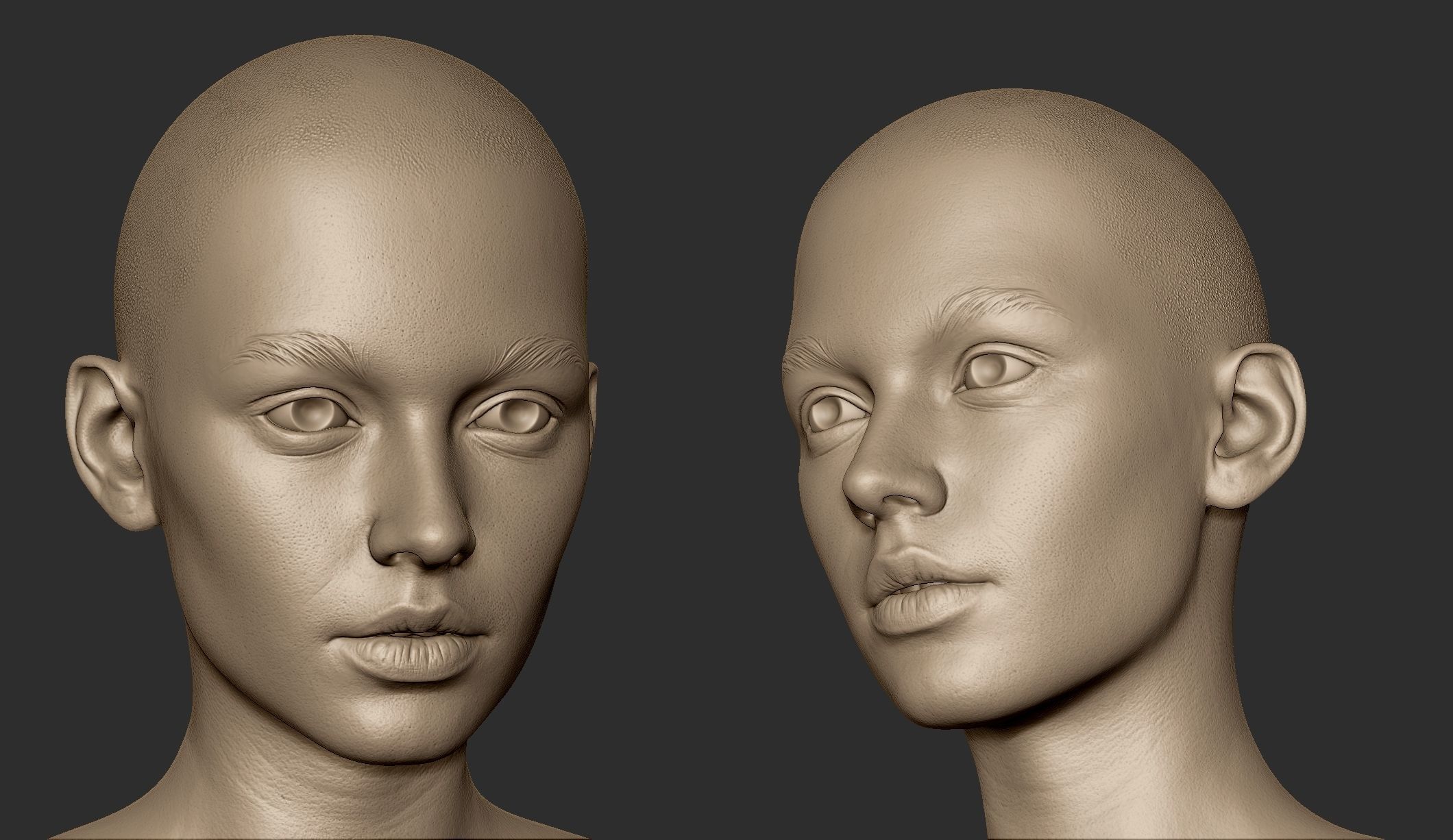 3d Printable Female Head 15 3D model_3