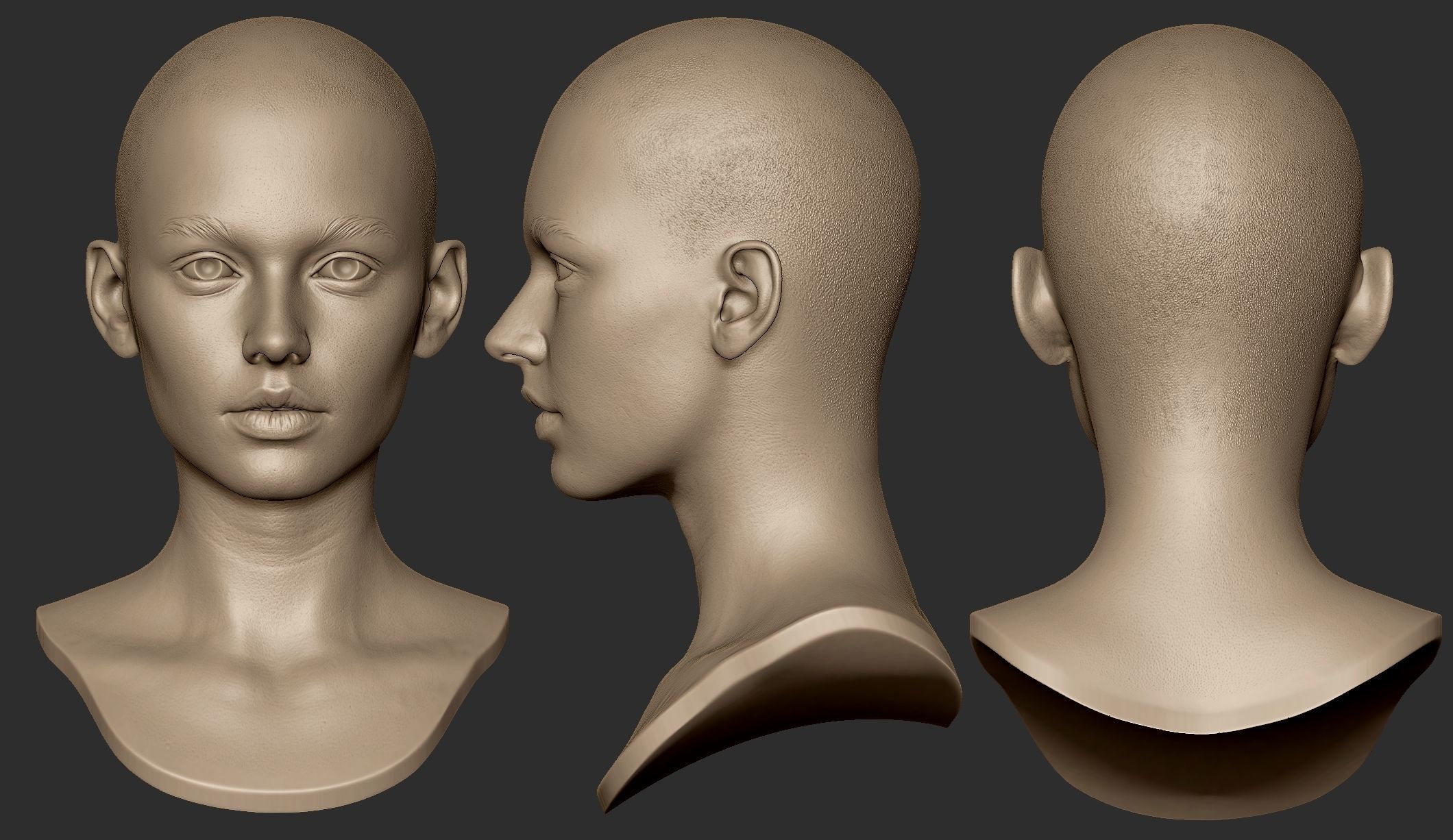 3d Printable Female Head 15 3D model_2