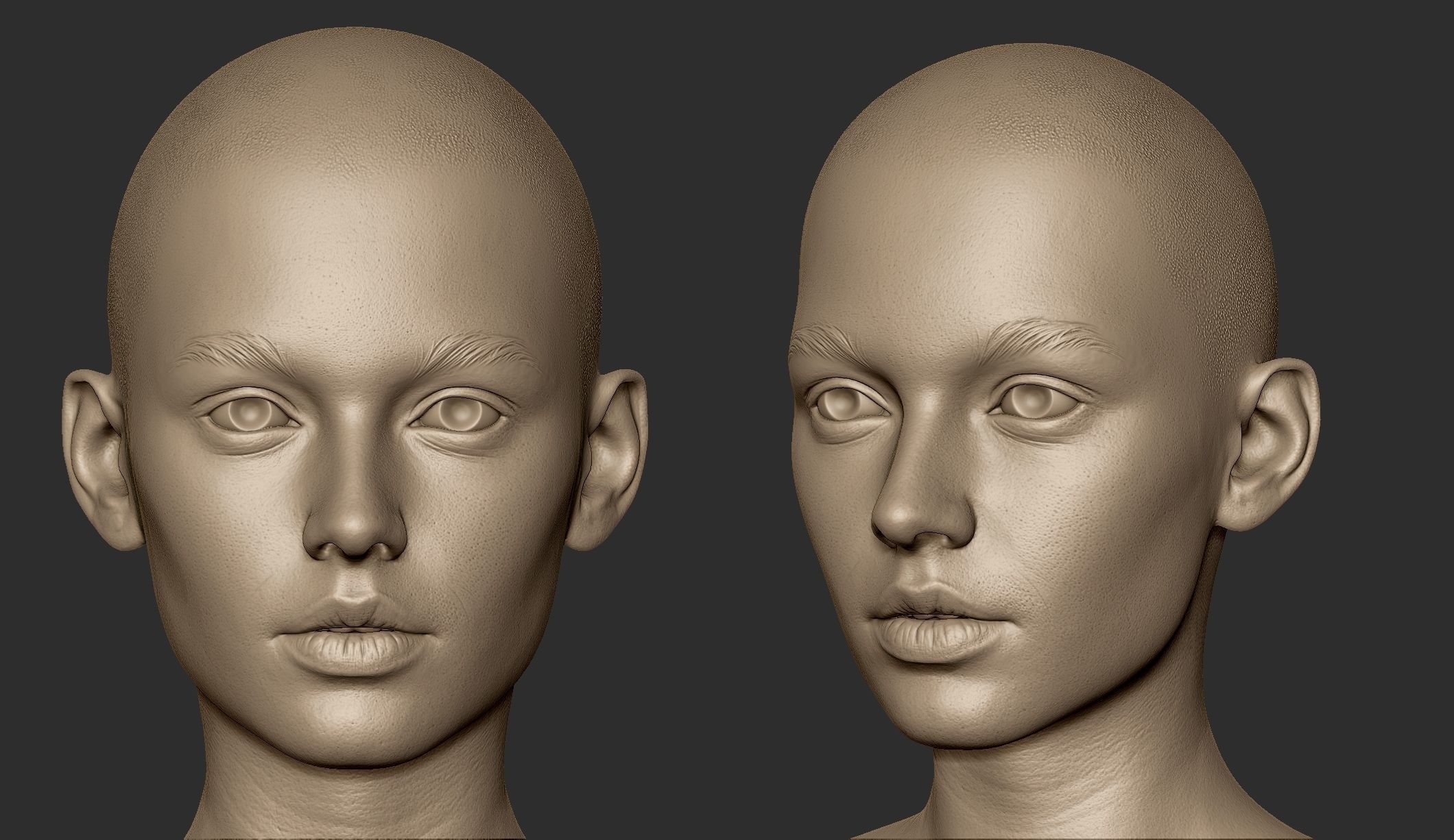 3d Printable Female Head 15 3D model_1