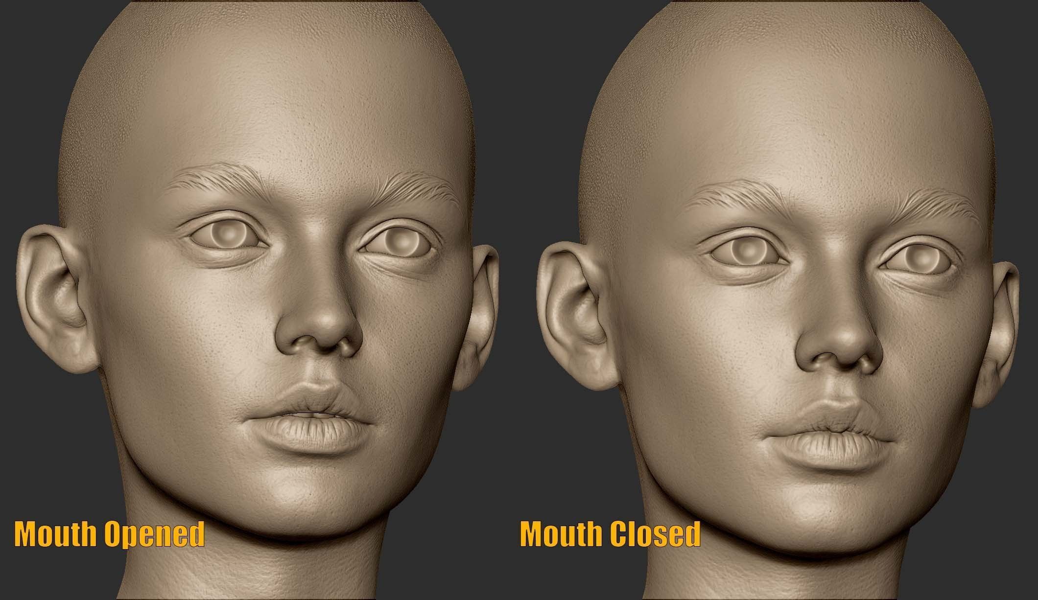 3d Printable Female Head 15 3D model_9