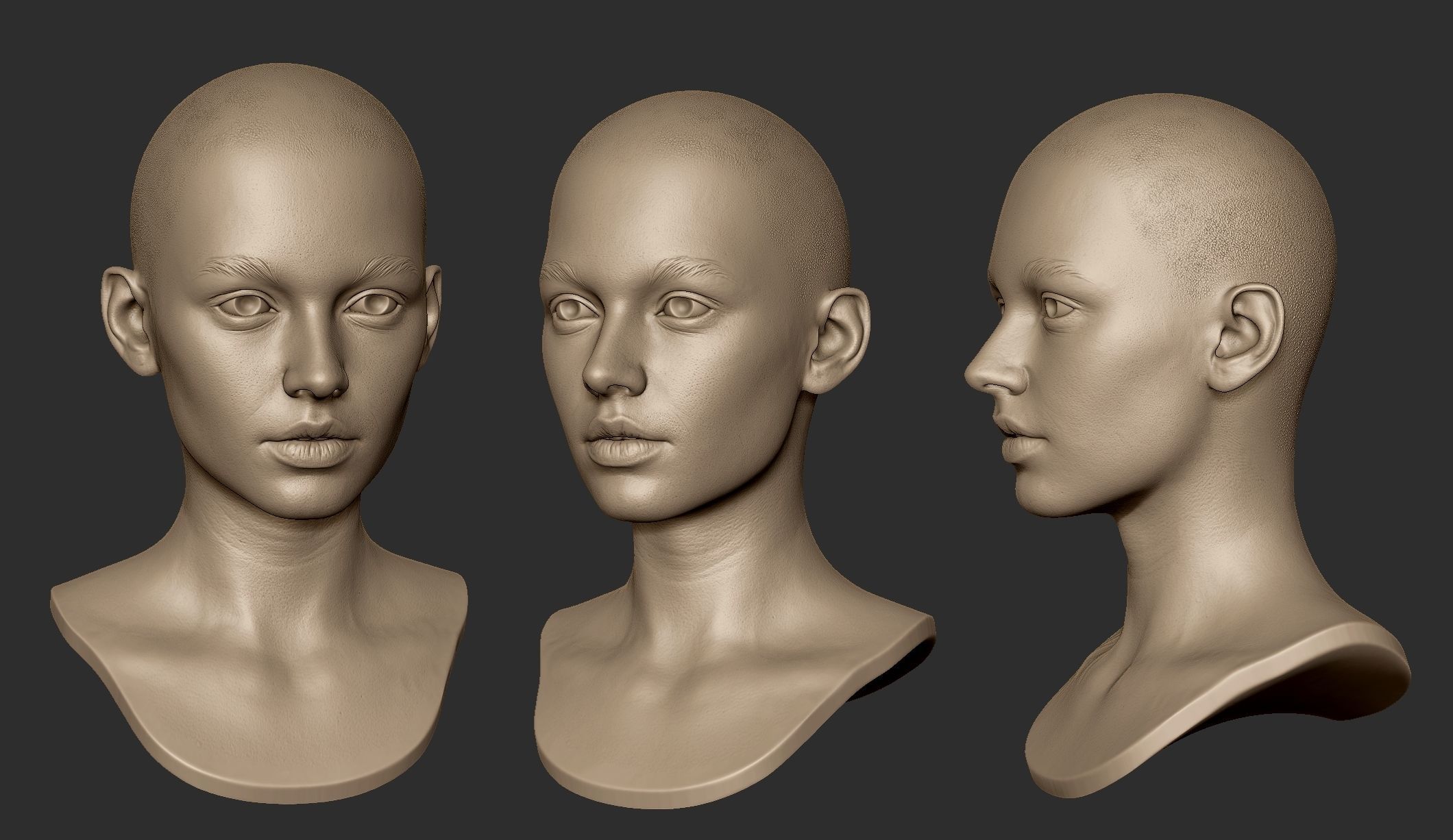 3d Printable Female Head 15 3D model_4
